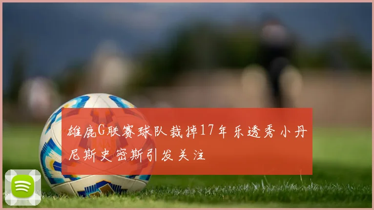 雄鹿G联赛球队裁掉17年乐透秀小丹尼斯史密斯引发关注
